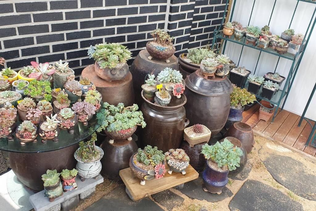 Gyeongju Sugi'S Guesthouse Ngoại thất bức ảnh